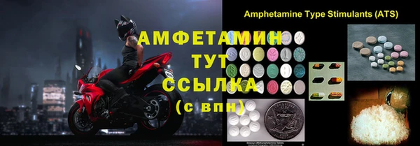 прущие грибы Каменка