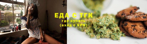 прущие грибы Каменка