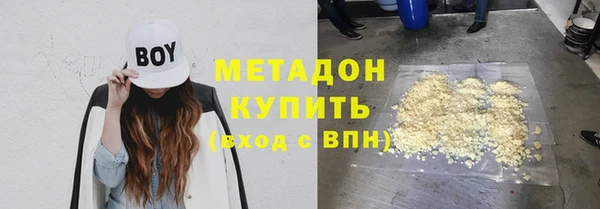 прущие грибы Каменка