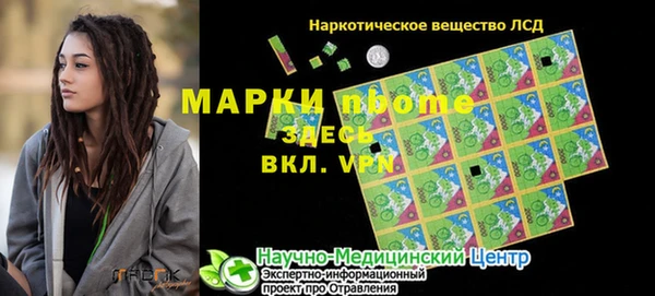 прущие грибы Каменка