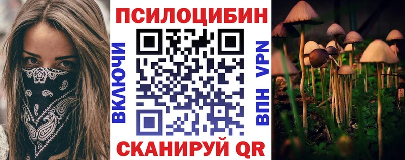 Купить закладки  Гремячинск  Галлюциногенные грибы Psilocybine cubensis 